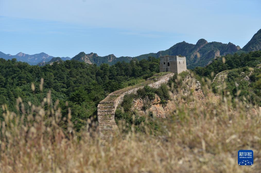 玩法金鲨银鲨